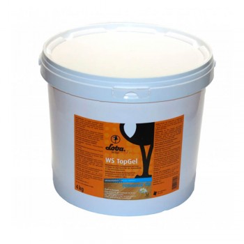 Гель для паркета Lobadur WS TopGel